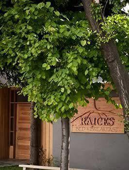 Raices Bed And Breakfast Coyhaique Exterior photo